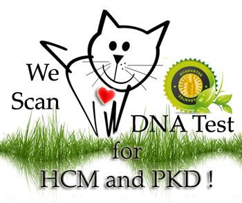 test hcm et pkd
