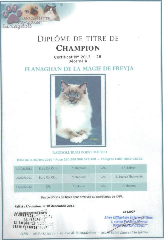 titre flanaghan champion