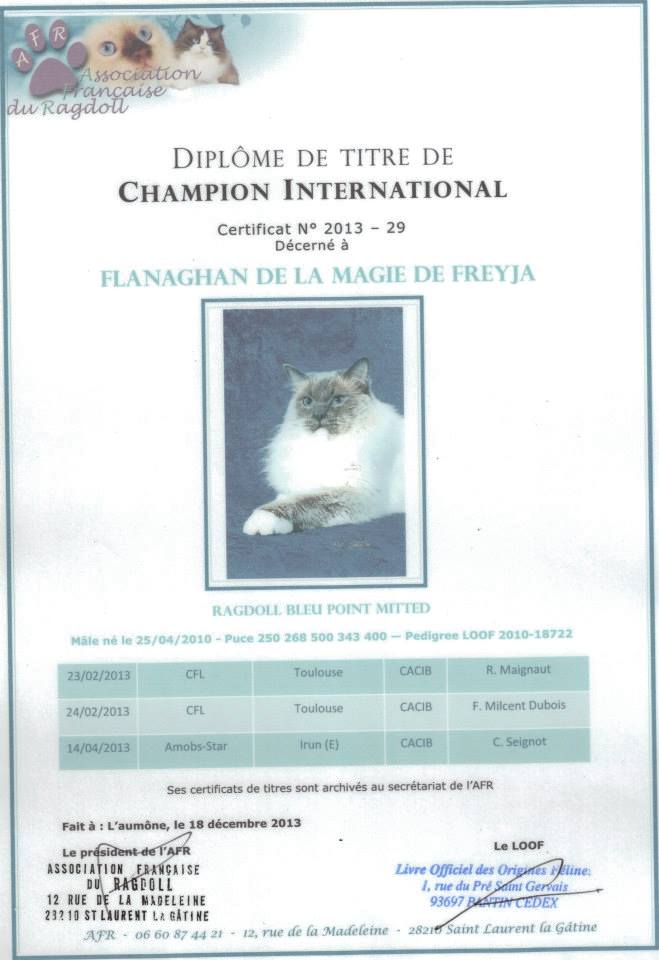 titre flanaghan champion inter