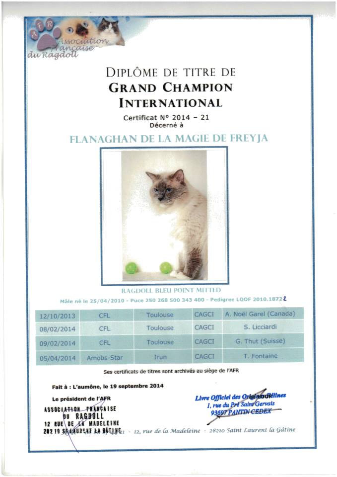 titre flanaghan grand champion inter